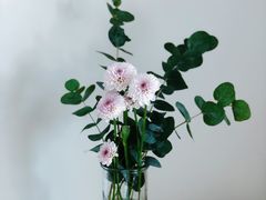 -盒马鲜生(悠方店)