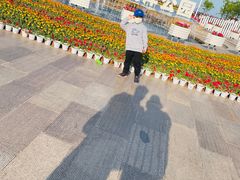 -日照灯塔风景区