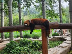-北京野生动物园