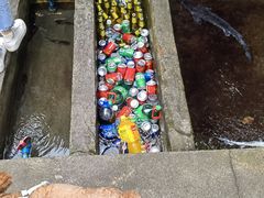 -源泉冷水鱼庄(小鱼洞店)
