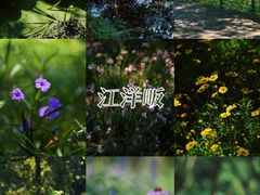 -西湖风景区-江洋畈生态公园