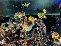 -华夏文旅海洋公园