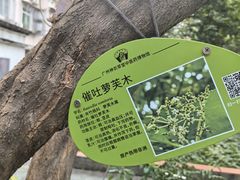 -广州神农草堂中医药博物馆