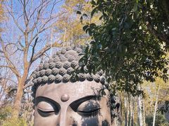-杭州植物园