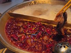 -小龙坎火锅(IFS HOT店)