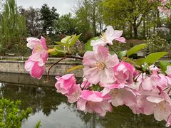 -海棠花溪(元大都城垣遗址公园)