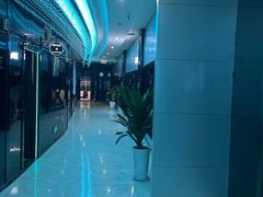 -绿树电竞(五路店)