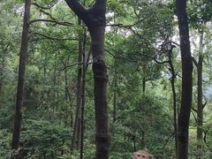 -黔灵山公园