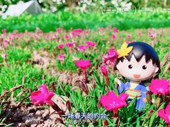-上海滨江森林公园