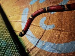 -酷嗒动物文化乐园(cutezoo西溪乐天城店)