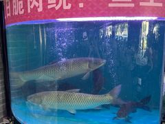 -红日饭店(裕隆三路店)