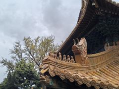-普陀山风景名胜区-法雨禅寺