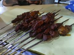 -高原第一家资格烤羊肉(玉林南路总店)