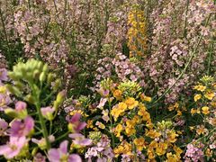 -中国天府农业博览园