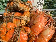 -七的湖·晚芳亭·阳澄湖农家菜·大闸蟹(莲花岛店)