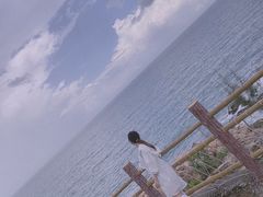 -广东惠东海龟国家级自然保护区