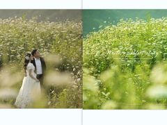 -罗曼罗兰(璧山店)