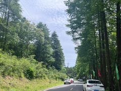 -木兰云雾山