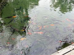 -济南大明湖景区