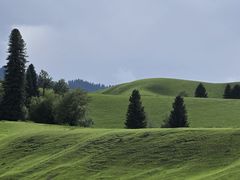 -新疆那拉提国家旅游度假区