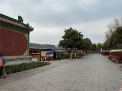 -横店圆明新园