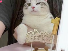 -瑞鹏宠物医院·骨科·猫科·内科(第一中心)