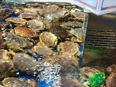 -盒马鲜生(莱蒙都会店)