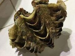 -海盗餐厅