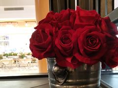 -华豫川酒家(大卫城店)