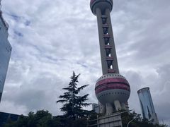-上海大自然野生昆虫馆