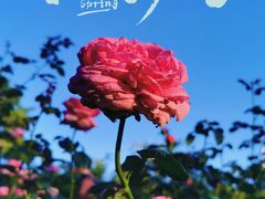 -人民公园(罗湖区)