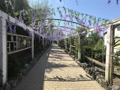 -呀路古热带植物园