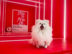 -凯德广场(金牛店)