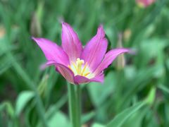 -长春公园(普阳街道)