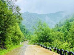 -凤凰山国家森林公园