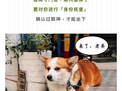 -小梁哥云吞面(黄贝岭店)