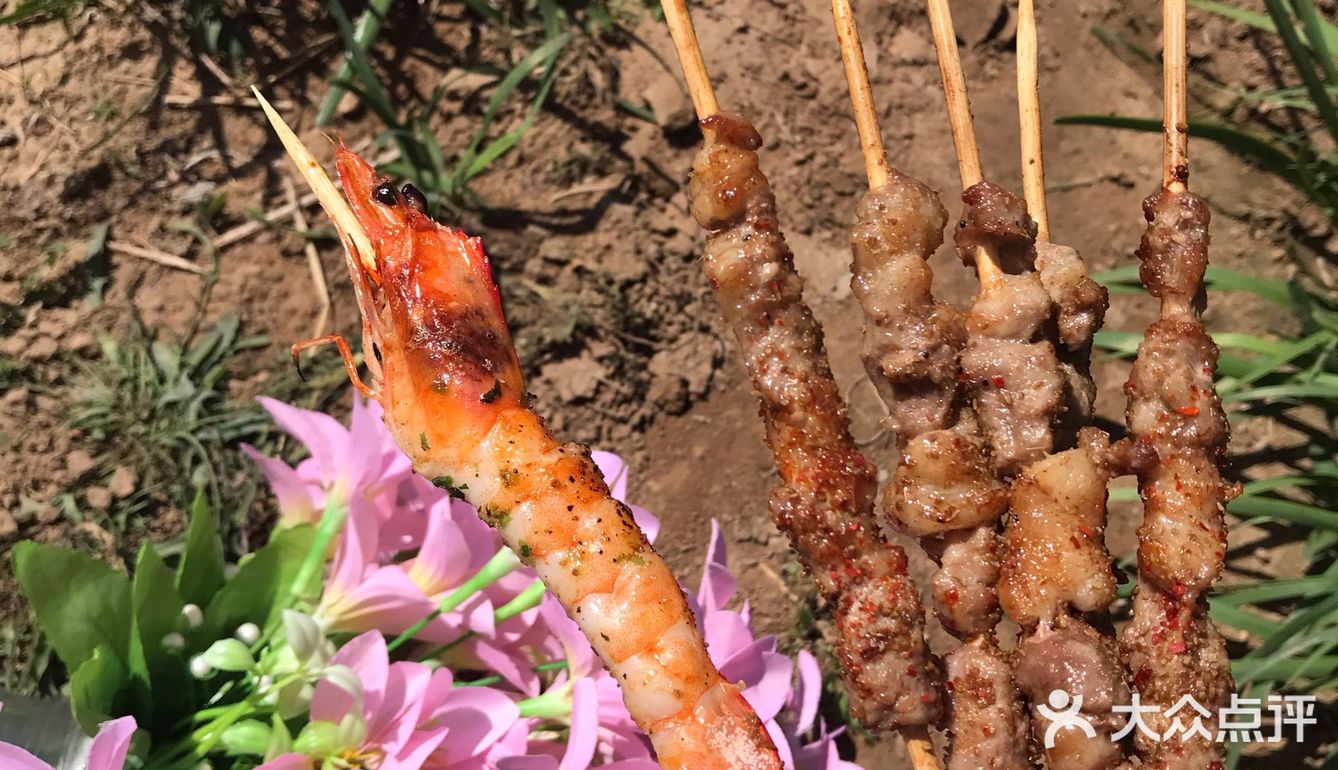 北京烤串必吃榜，来自呼伦贝尔大草原的羊肉串