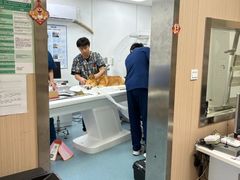-康成宠物医院24H·CT·核磁共振