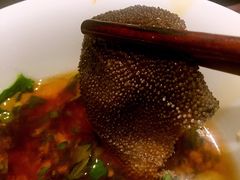 毛肚-蜀九香火锅(营口店)