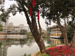 -荔湾湖公园