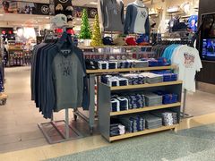 -约翰·菲茨杰拉德·肯尼迪国际机场