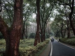 -东湖磨山景区