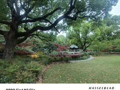 -申粤轩酒楼·三十年粤菜经典(丁香花园店)
