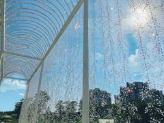 -迪茵湖田家舍生态农场