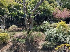 -月湖风景区
