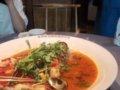 -坛宗剁椒鱼头(河西王府井店)