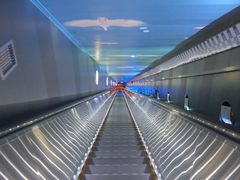 -白鹤梁水下博物馆