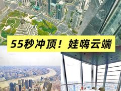 -上海中心大厦