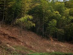 -南山风景名胜区
