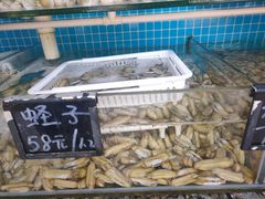 -北戴河庆山饭店·海鲜砂锅粥(北戴河黑石路店)